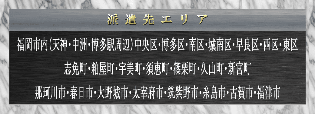 派遣エリア